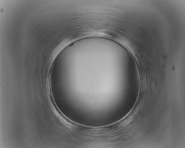 X0000072501391200607211238