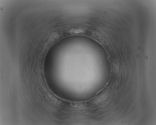 X0000072501393200607211237