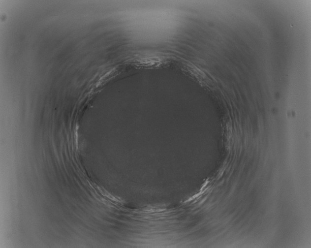 X0000072501394200607211237