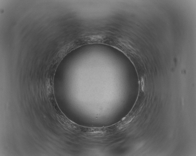 X0000072501395200607211237