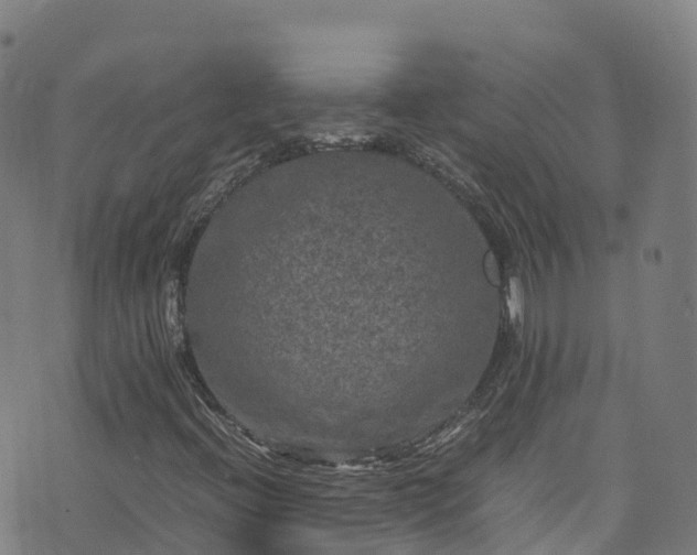 X0000072501396200607211237