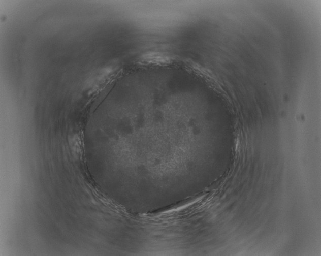 X0000072501397200607211237