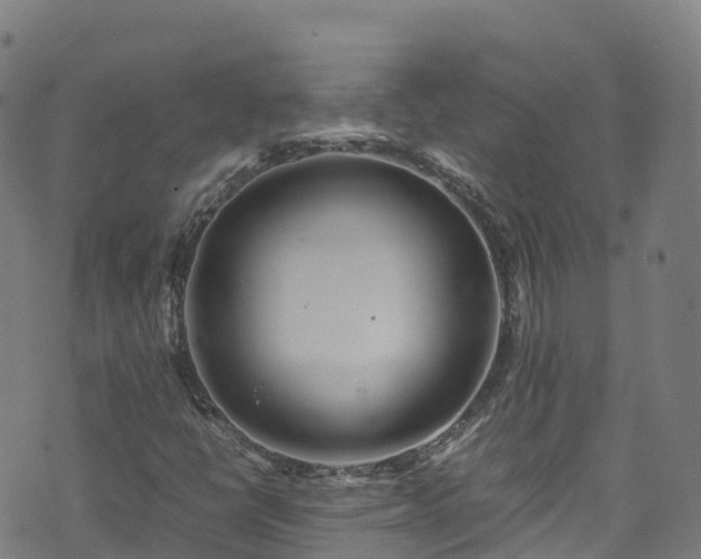 X0000072501398200607211237