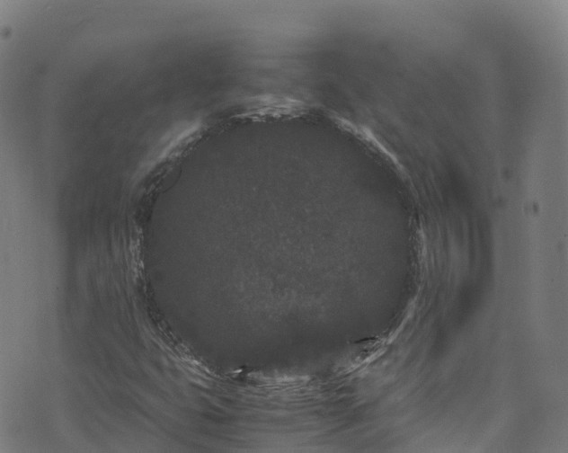 X0000072501399200607211237