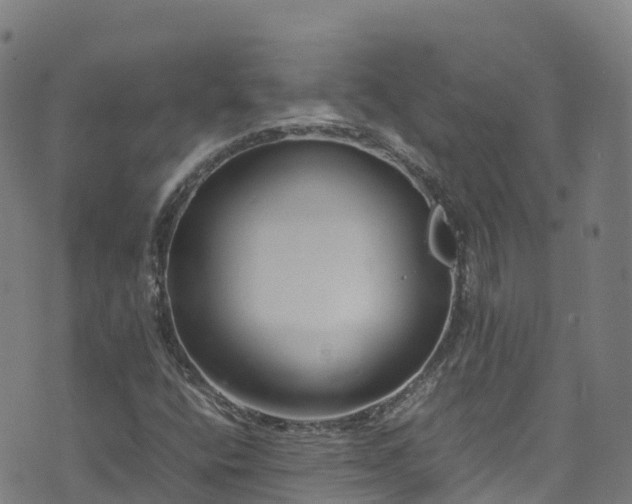 X0000072501400200607211237