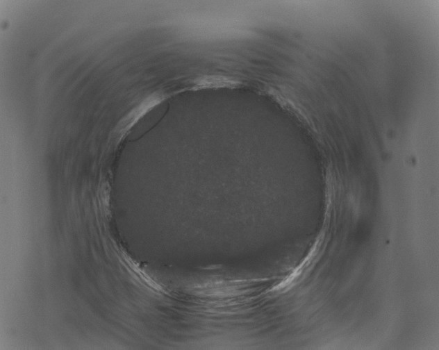 X0000072501401200607211237