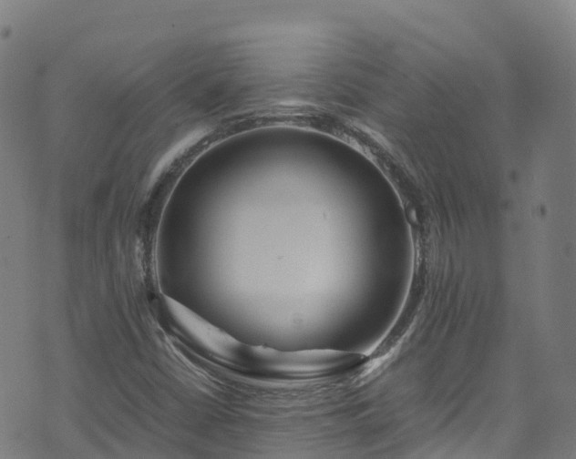 X0000072501402200607211237