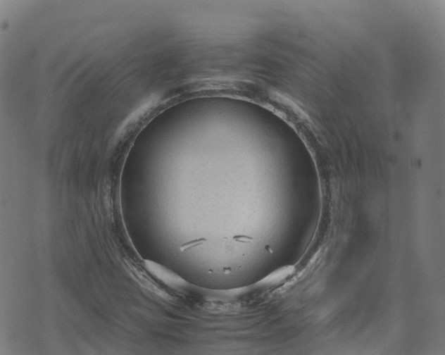 X0000072501403200607211238