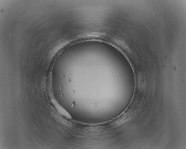 X0000072501404200607211238