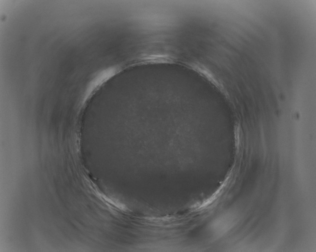 X0000072501405200607211238