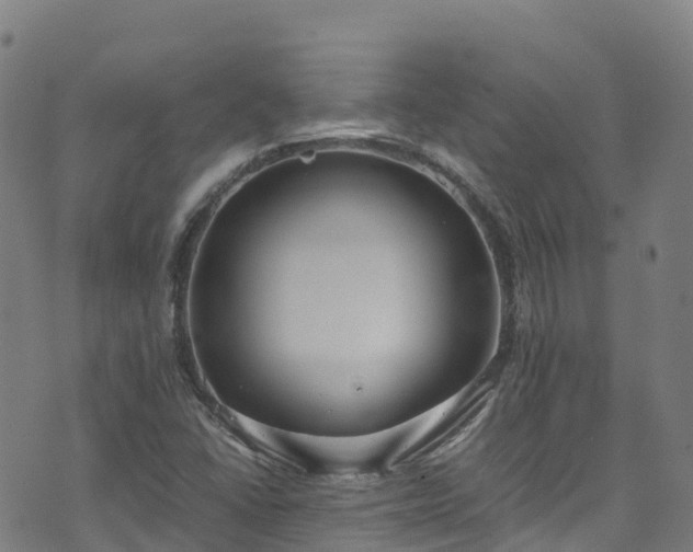 X0000072501406200607211238