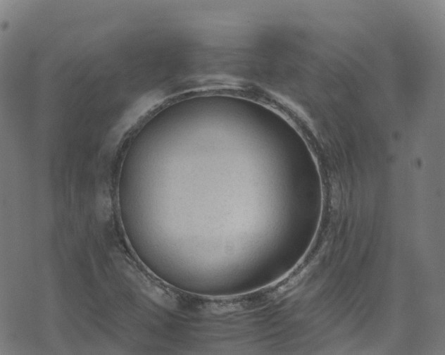 X0000072501407200607211238