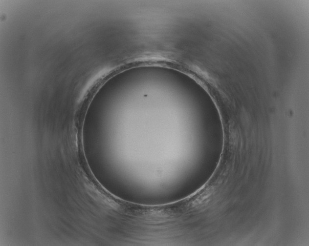 X0000072501408200607211238