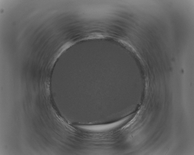 X0000072501409200607211238