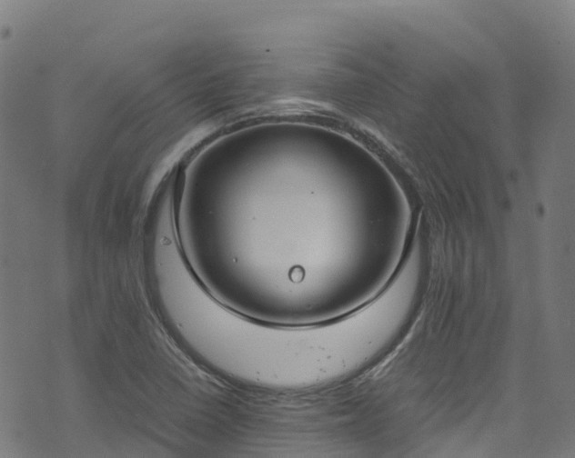 X0000072501410200607211238