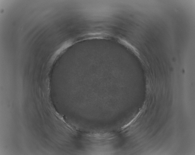 X0000072501411200607211238