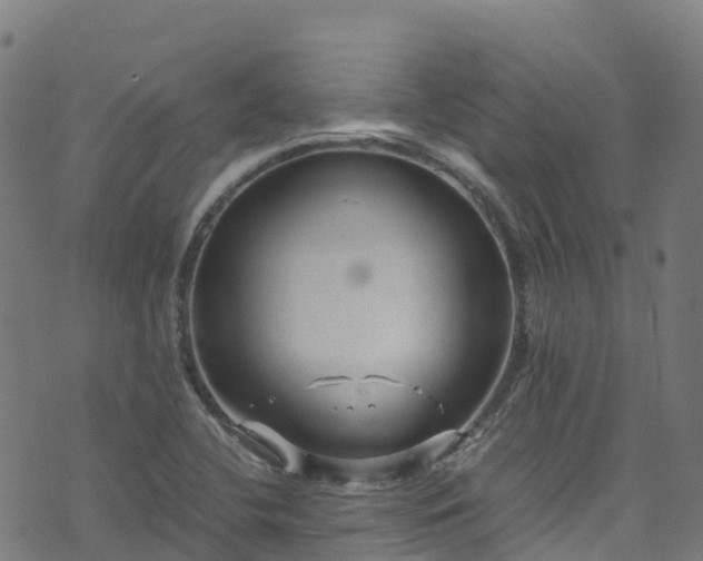 X0000072501412200607211238