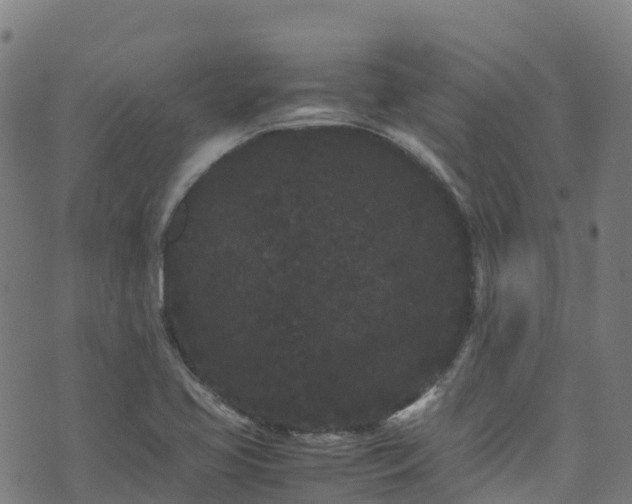 X0000072501413200607211238