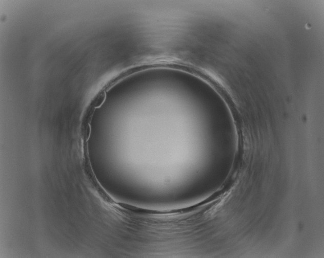 X0000072501414200607211238