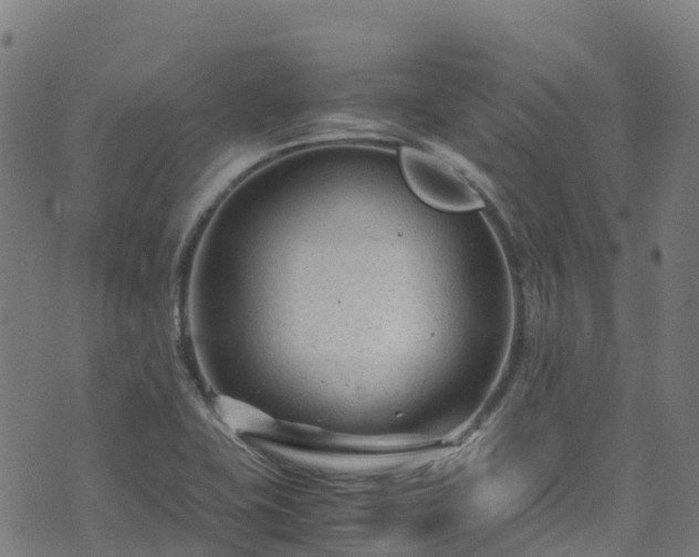 X0000072501415200607211238