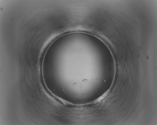 X0000072501416200607211238