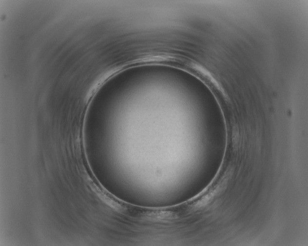 X0000072501417200607211238