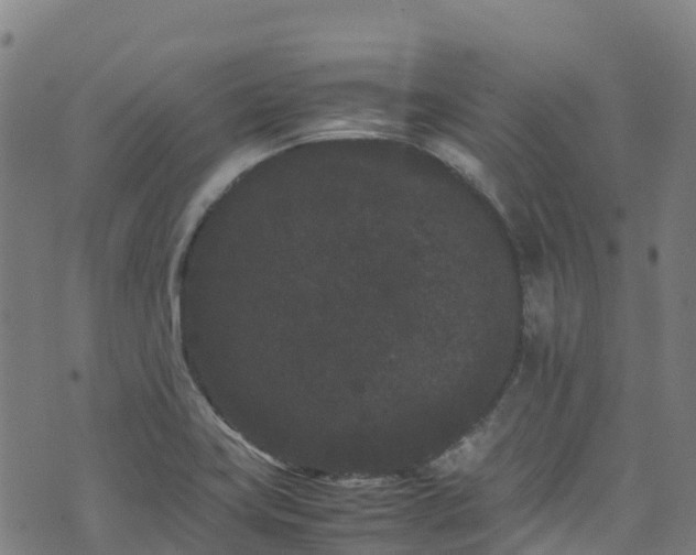 X0000072501419200607211238