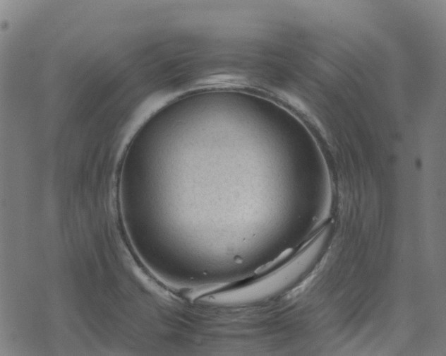 X0000072501421200607211238