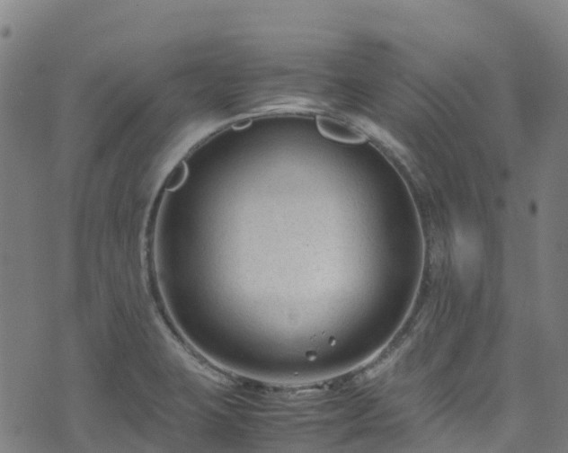 X0000072501423200607211238