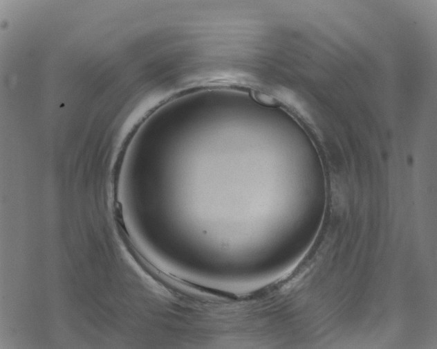 X0000072501424200607211238