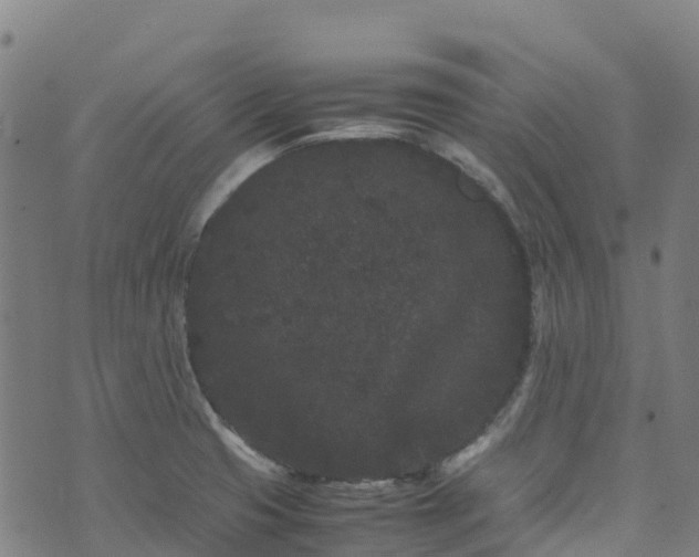 X0000072501425200607211238