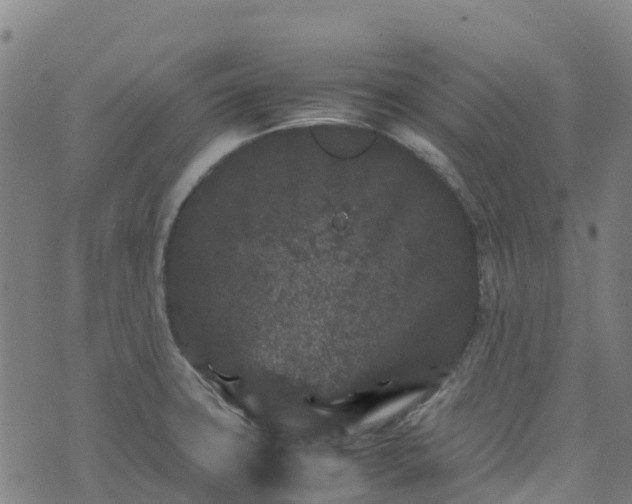 X0000072501427200607211238