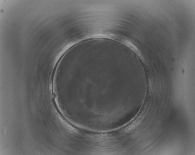 X0000072501428200607211238