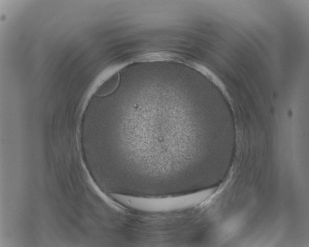 X0000072501429200607211238