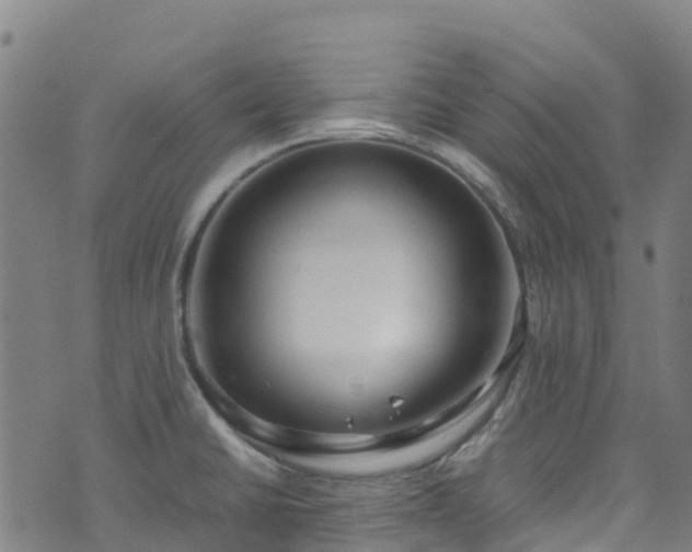 X0000072501430200607211238