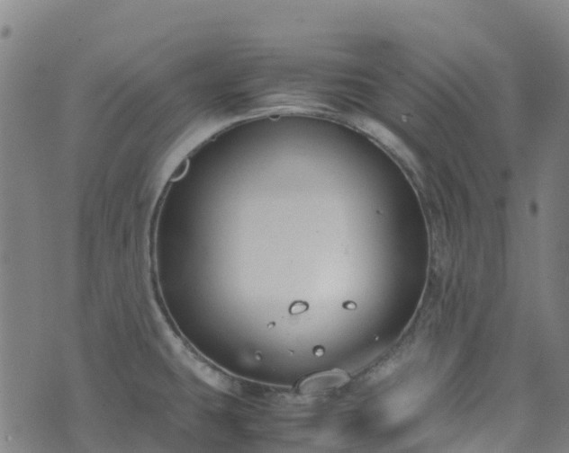 X0000072501431200607211238