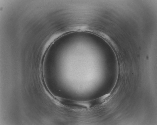 X0000072501432200607211238