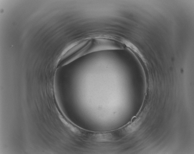 X0000072501433200607211238