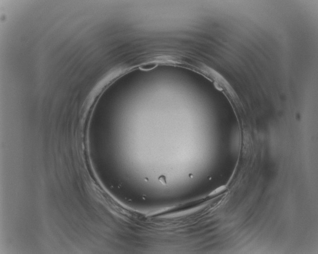 X0000072501435200607211238