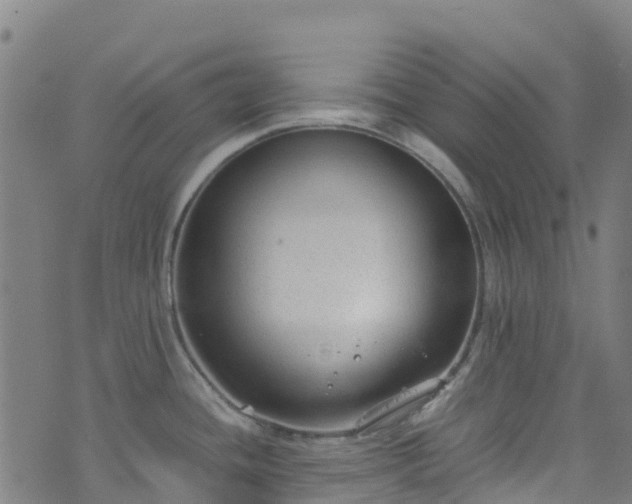 X0000072501436200607211238