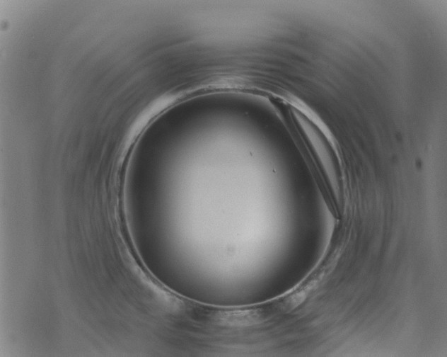 X0000072501437200607211238