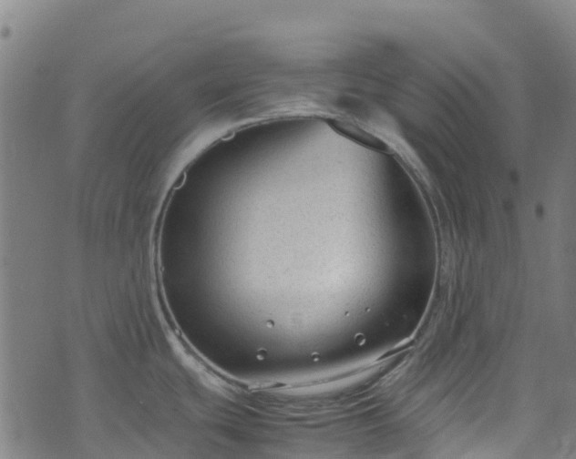 X0000072501439200607211238