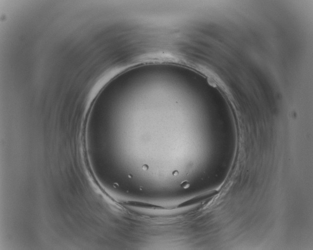 X0000072501440200607211238