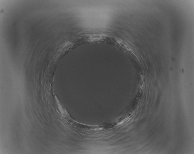 X0000072501441200607211237