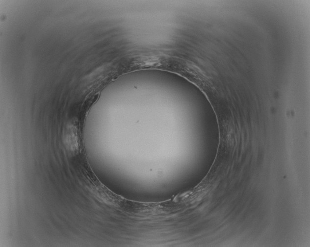 X0000072501442200607211237