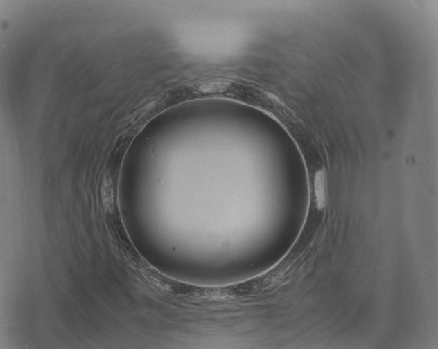 X0000072501443200607211237