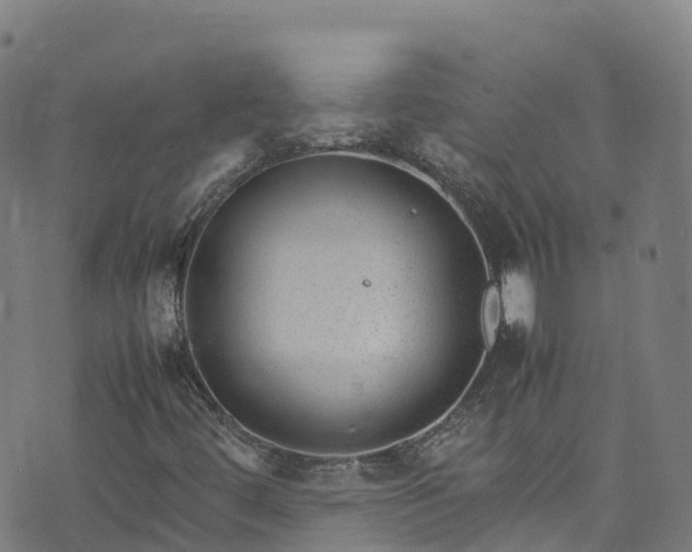 X0000072501444200607211237