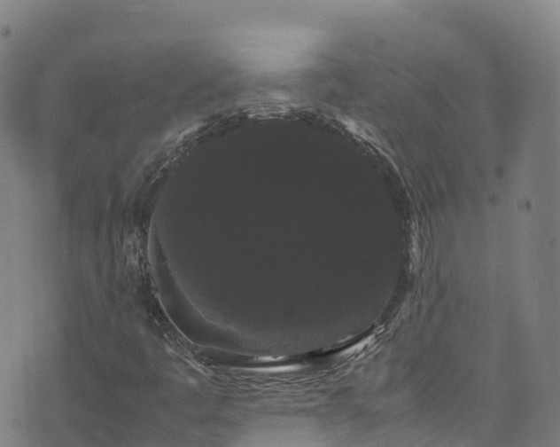 X0000072501445200607211237