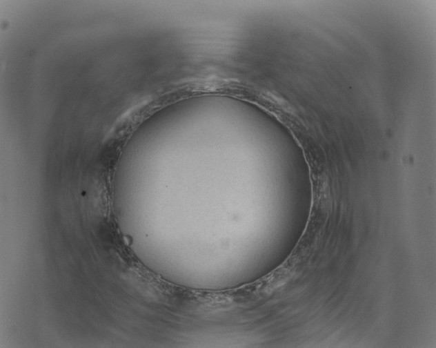 X0000072501446200607211237