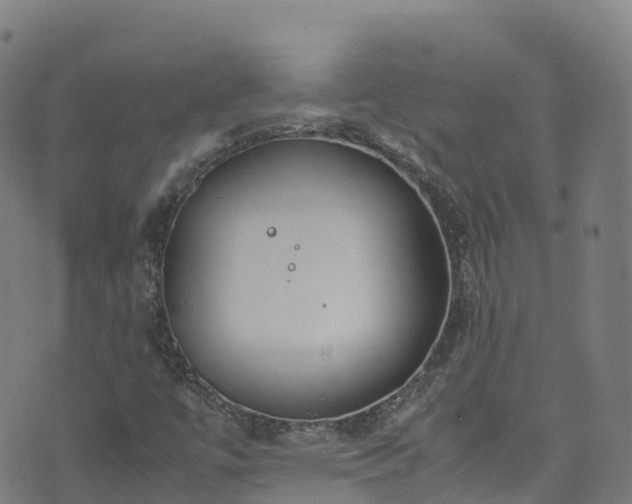 X0000072501447200607211237